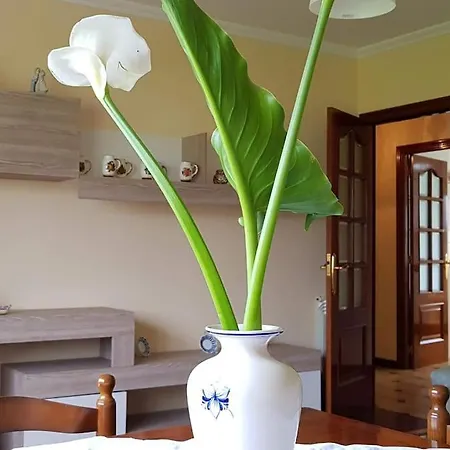 A Pampillosa
